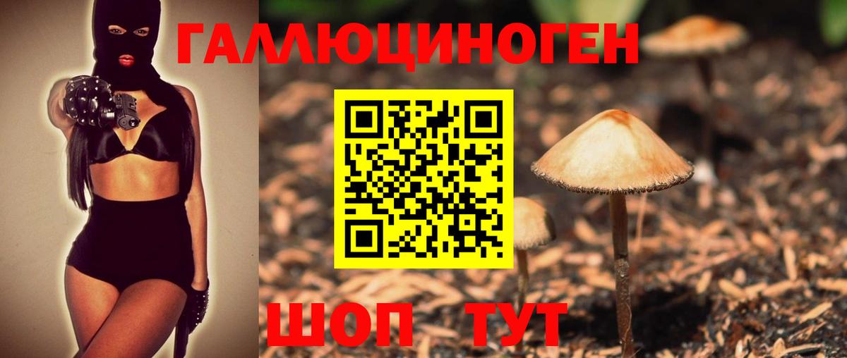 Галлюциногенные грибы прущие грибы  Псилоцибиновые грибы мицелий  Вход с VPN  Елизово 